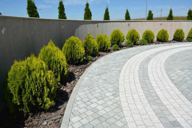 Reasons to Select Us for Your Driveway Paving Requirements in Stanley, NC